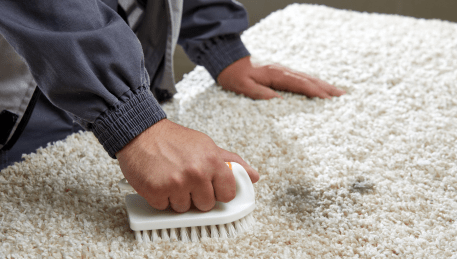 Professional Rug Cleaning Merricks